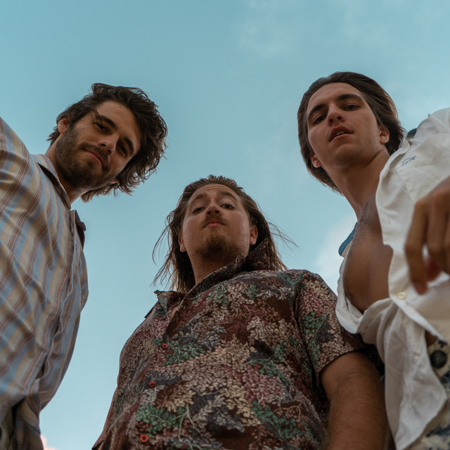 The Naked Waiters Spotify