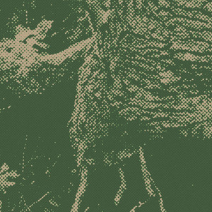 coldbrew - roots