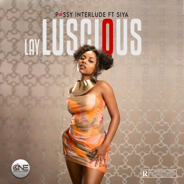 Pussy Interlude Single By Lay Luscious Spotify