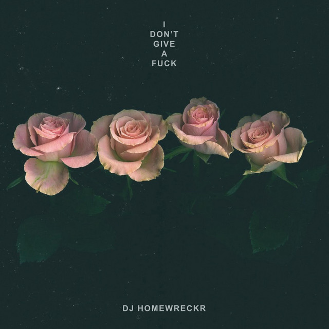 I Don T Give A Fuck Single By DJ Homewreckr Spotify