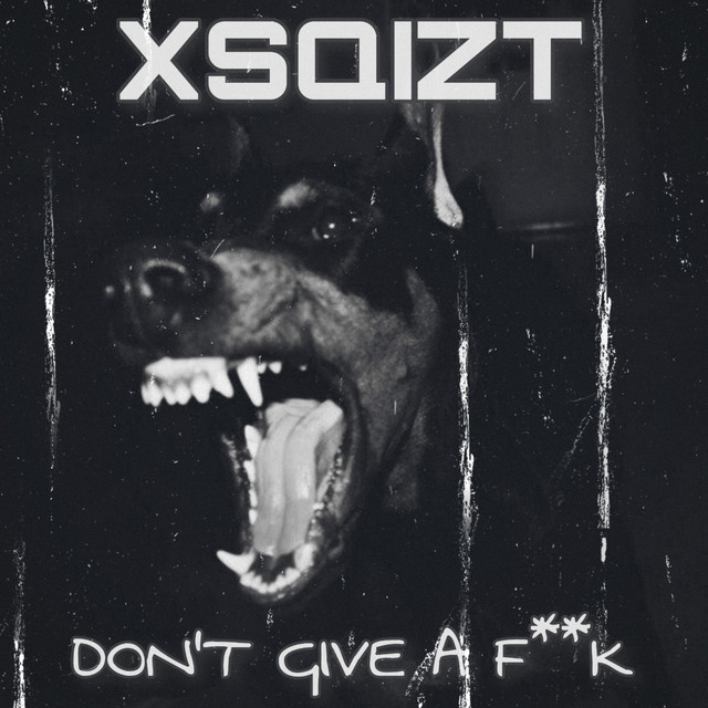 Don T Give A Fuck Single By Xsqizt Spotify