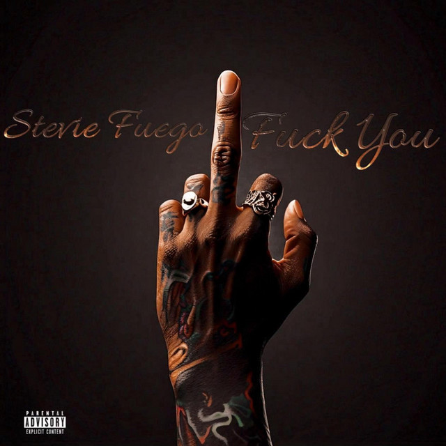 Fuck You Single By Stevie Fuego Spotify