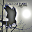 Secrets of Flight Albumcover