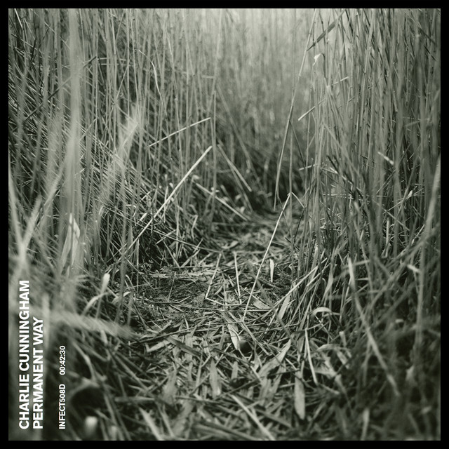Musik Album: 'Permanent Way' von  Charlie Cunningham