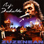 Zuzenean (bikoitza) Albumcover