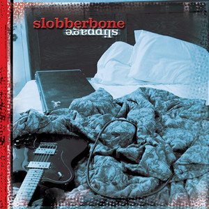 Slippage cover