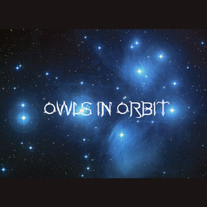 Owls In Orbit