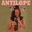 Antilope Albumcover