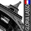 Gloria Lasso : Toi je t'aimerai (Histoire française) Albumcover