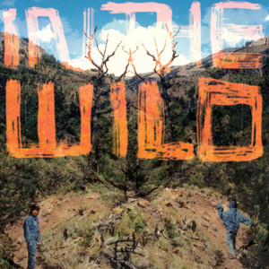 In the Wild cover