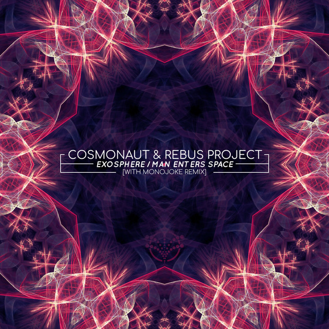 Cosmonaut photo