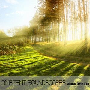 Ambient SoundScapes, Vol. 17 album