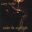 Under The NightLight cover