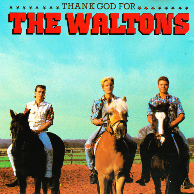 Thank God For The Waltons cover