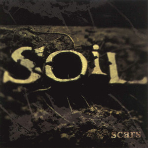 Scars cover
