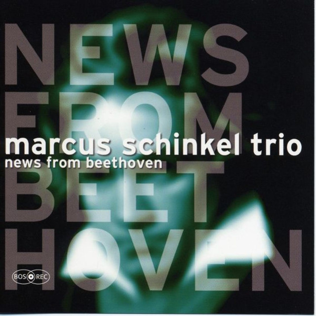 Marcus Schinkel Trio Photo
