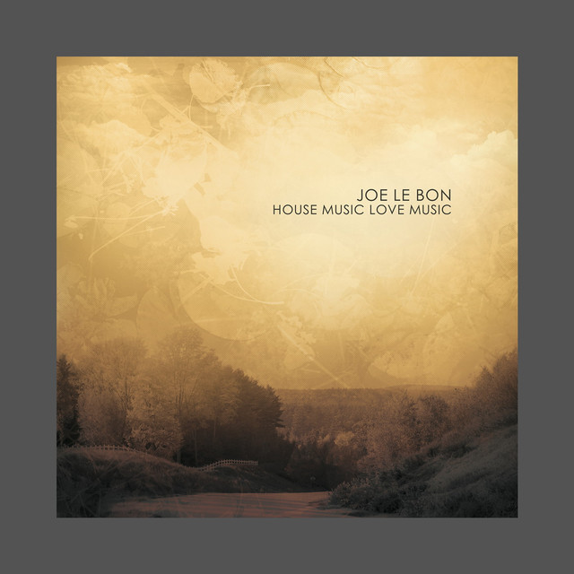 Joe Le Bon Photo