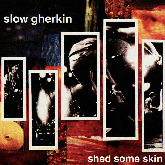 Shed Some Skin cover