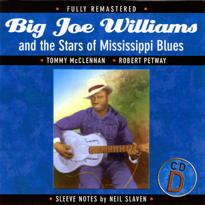 Big Joe Williams and the Stars of Mississippi Blues (D) album