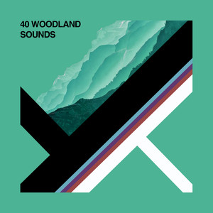 40 Woodland Sounds album