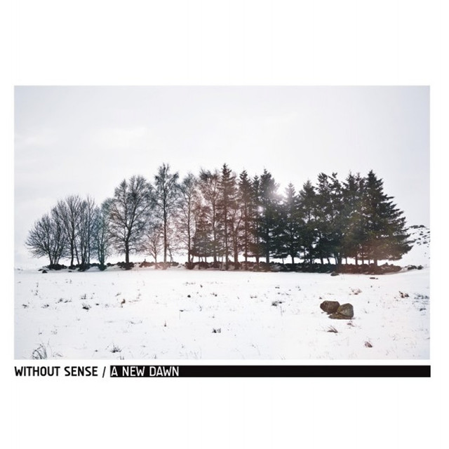 Without Sense Photo
