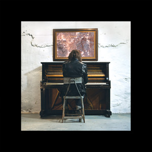 Into The Wide (Deluxe Edition) cover