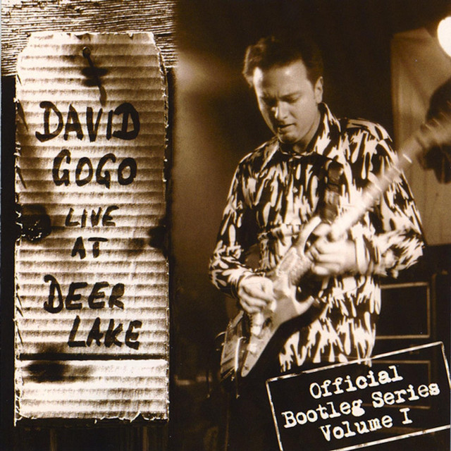 David Gogo: Live At Deer Lake cover