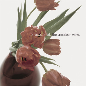 The Amateur View Albumcover