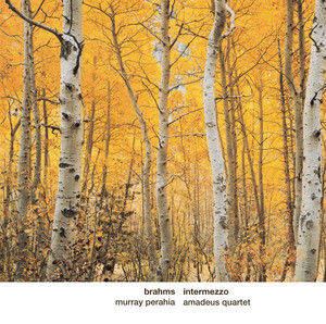 Intermezzo cover