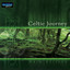 Celtic Journey Albumcover