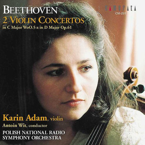 Violin Concertos cover