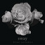 Sway cover