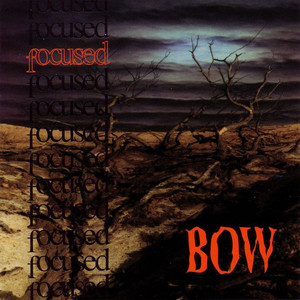 Bow cover