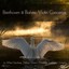 Beethoven & Brahms: Violin Concertos Albumcover
