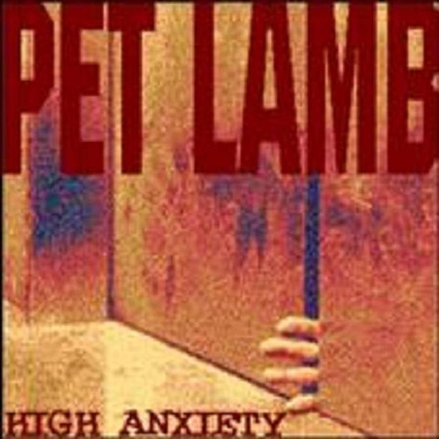Pet Lamb Photo