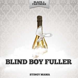 Stingy Mama album