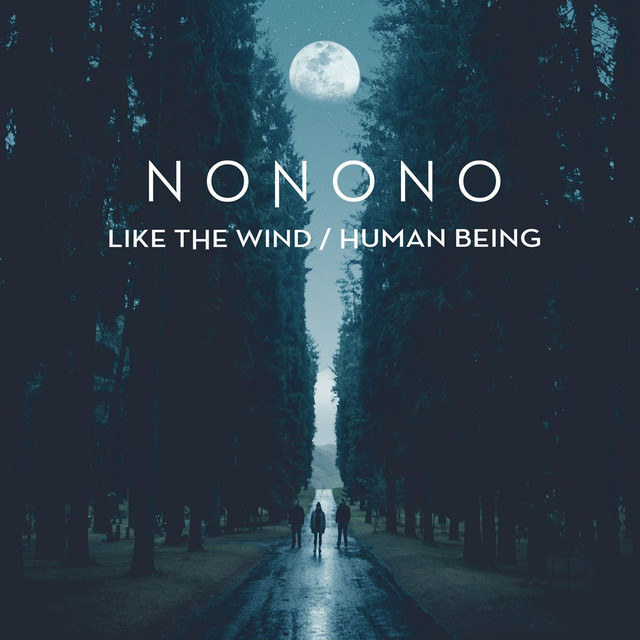 Like The Wind cover
