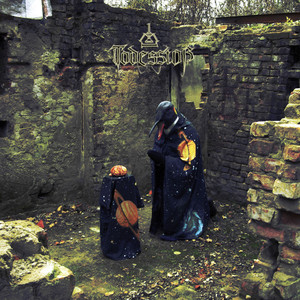 Hirngemeer cover