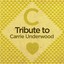 A Tribute to Carrie Underwood Albumcover