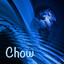 Chow Albumcover