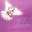 Peace Albumcover