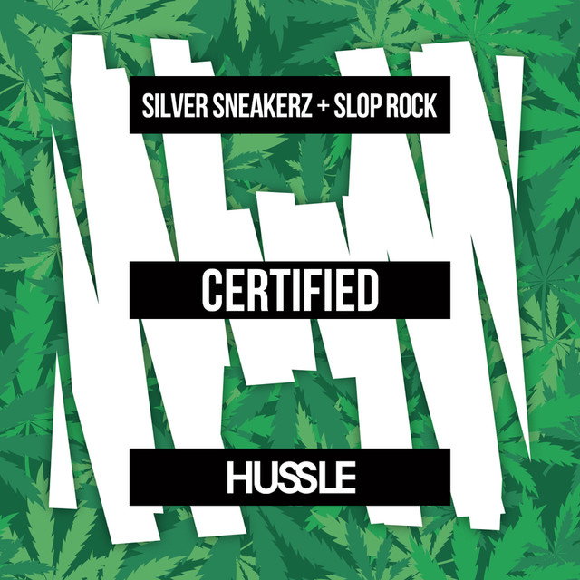 Silver Sneakerz Photo