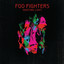 Wasting Light cover