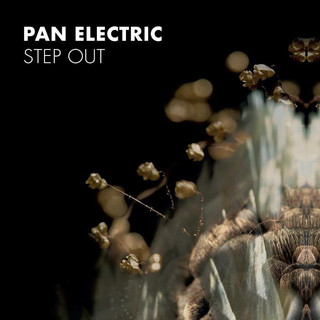Pan Electric Photo