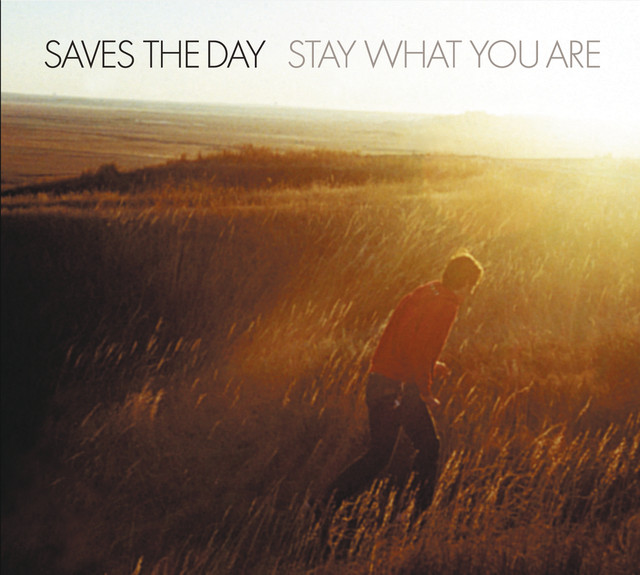 Stay What You Are cover