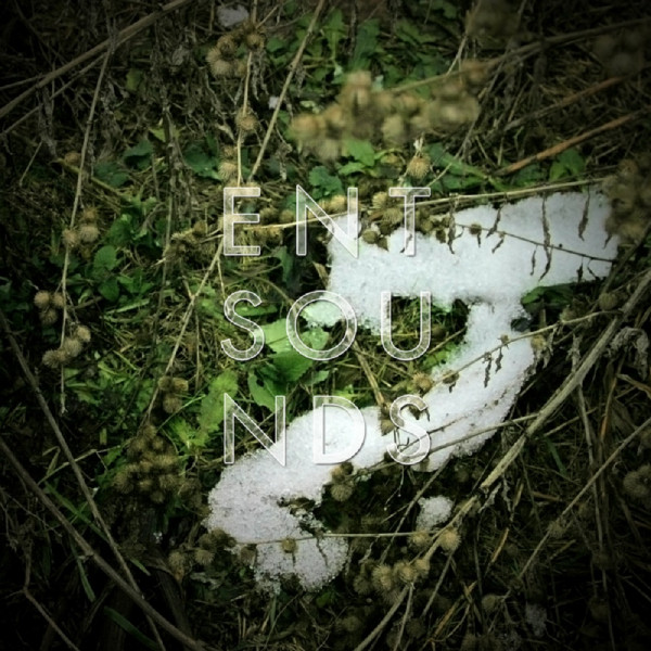 Entsounds Photo