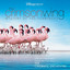 The Crimson Wing: Mystery of the Flamingos cover