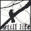 Madness and the Gackle cover