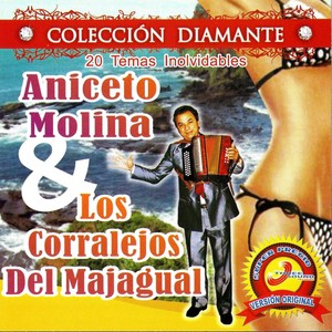 Aniceto Molina & Los Corralejos Del Madrigal