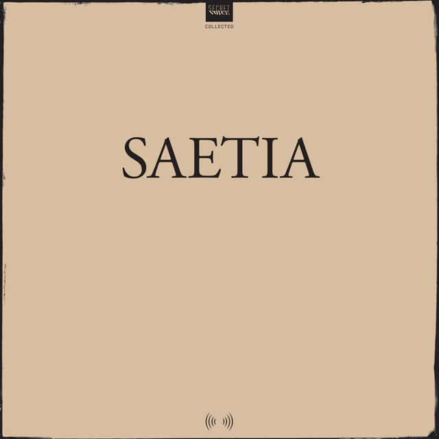 Saetia photo